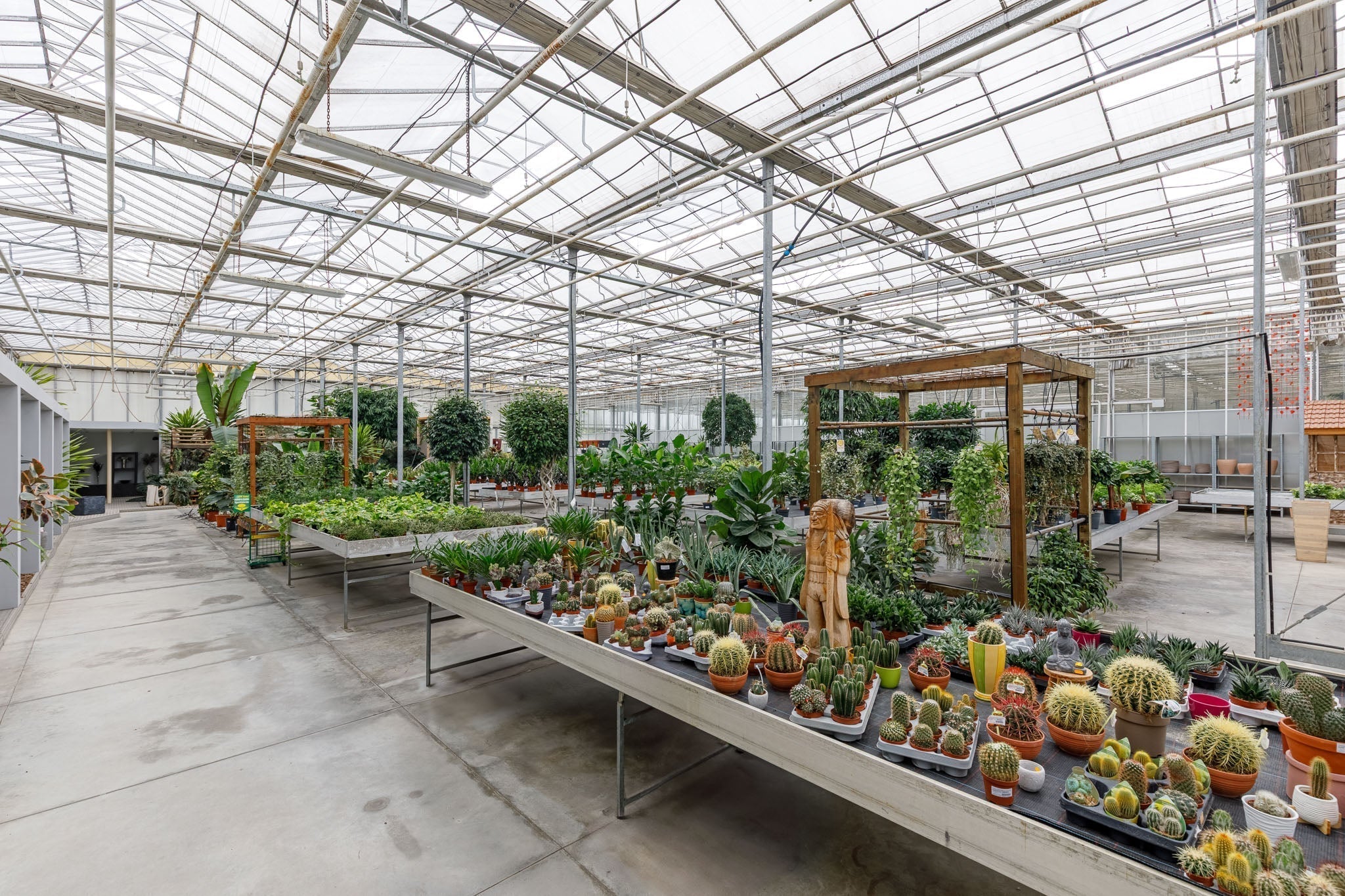 Как да изберем цвете за офиса