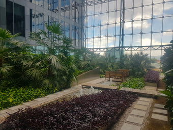 Интериорно озеленяване с палми, пълзящи растения и водни площи в Sofia Airport Center